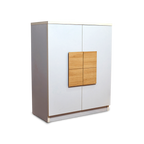 Modern White Cabinet with Central Wooden Accent